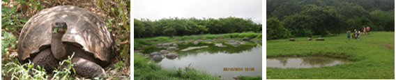 tours santa cruz island galapagos